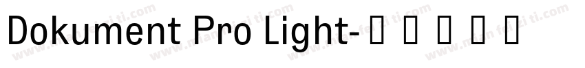 Dokument Pro Light字体转换